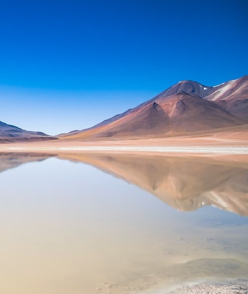 Feast of our Lady of Lourdes