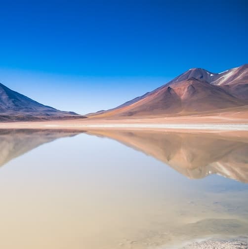 Harvest Season for Garlic
