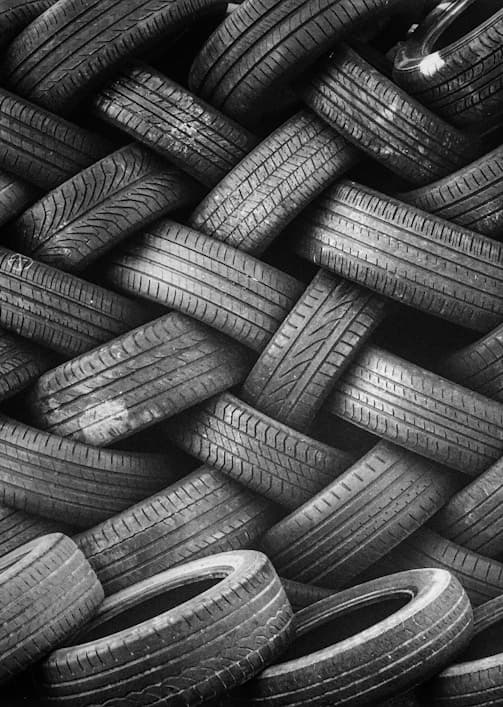 Harvest Season for Garlic