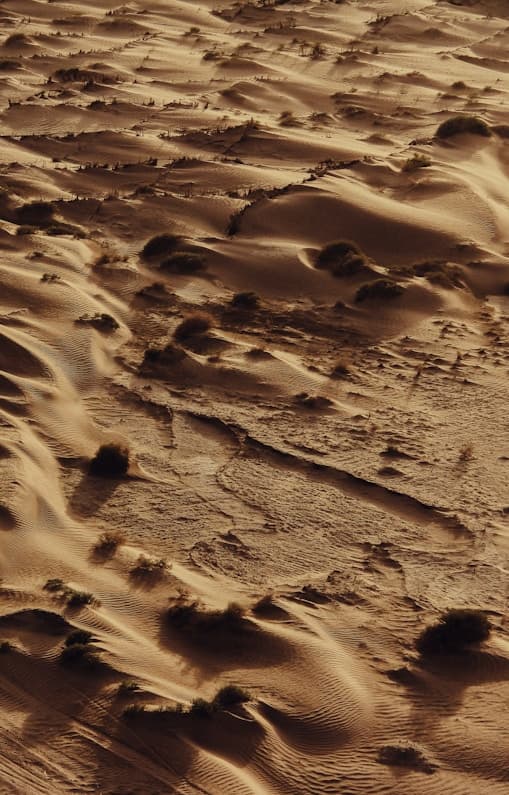 Feast of Sta. Ines de Monte Policiano