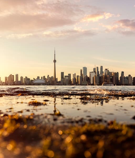 Feast of our Lady of Lourdes