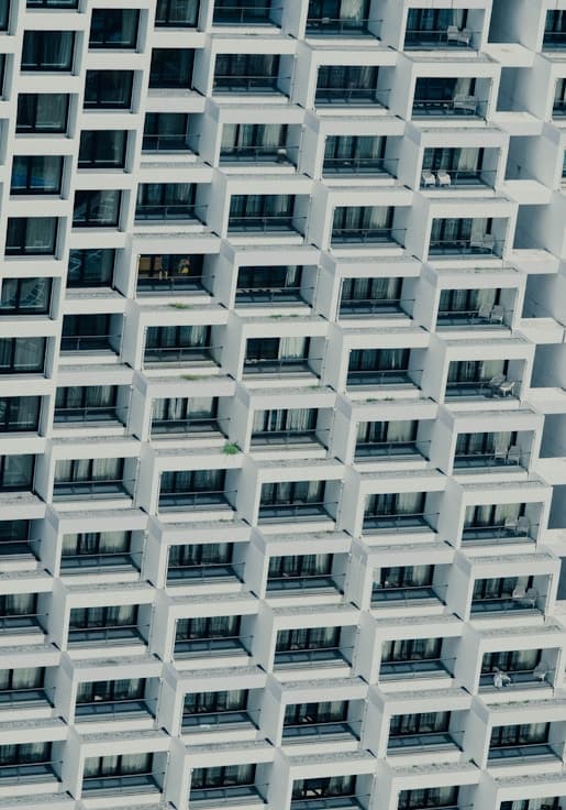 Fishing Season for the Flying Fish