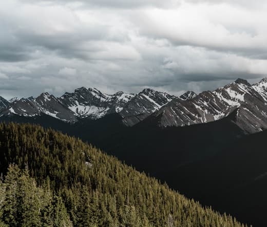 Feast of Sto. Tomas de Aquinas
