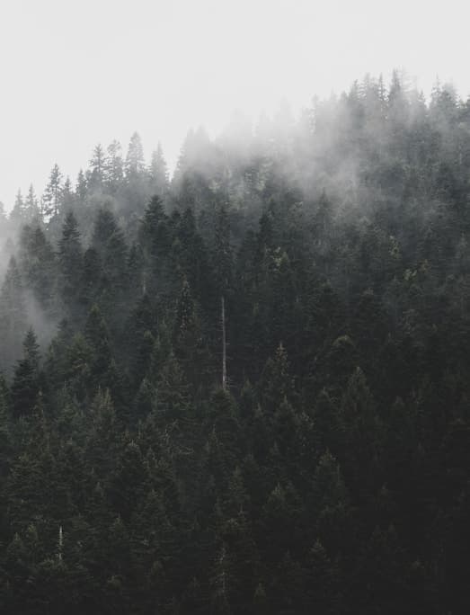 Akus Festival Foundation Day