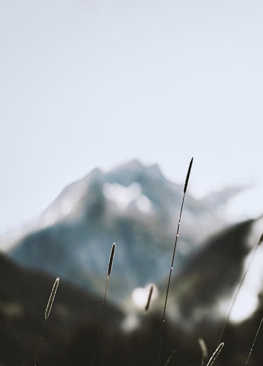 Fishing Season for the Flying Fish