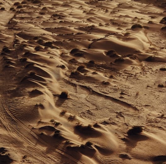 Feast of Sto. Tomas de Aquinas