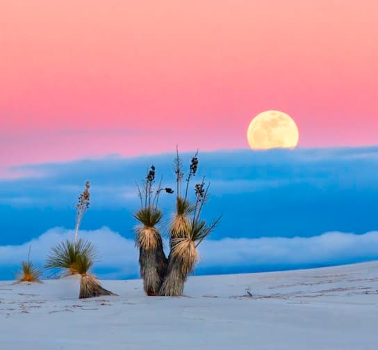 Feast of Saint Joseph