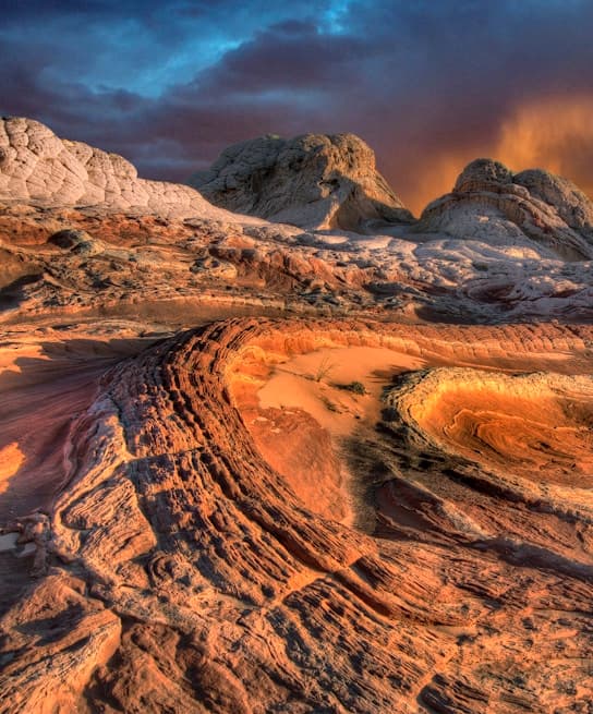 Akus Festival Foundation Day