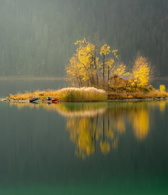 Feast of our Lady of Lourdes
