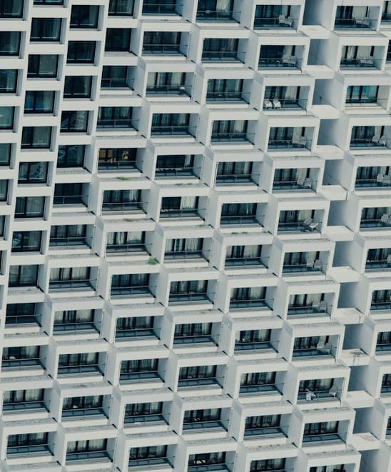 Fishing Season for the Flying Fish