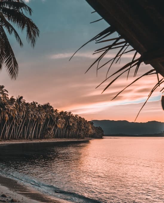 Fishing Season for the Flying Fish