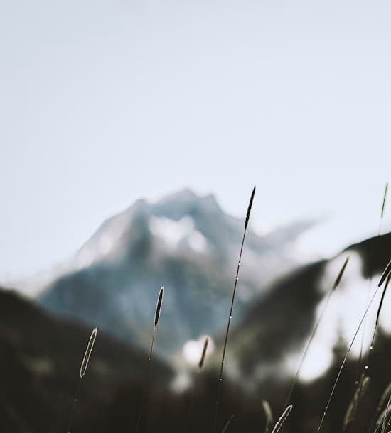 Akus Festival Foundation Day