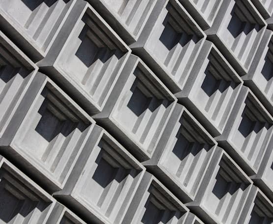 Harvest Season for Garlic