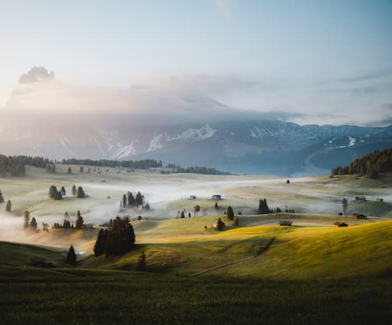 Harvest Season for Garlic