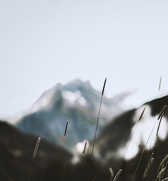 Feast of San Vicente Ferrer