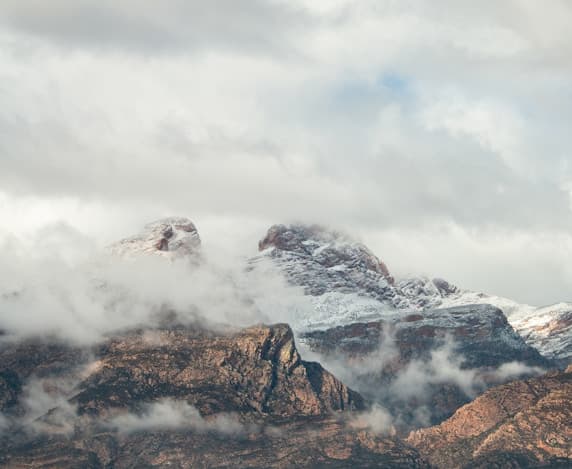 Harvest Season for Garlic