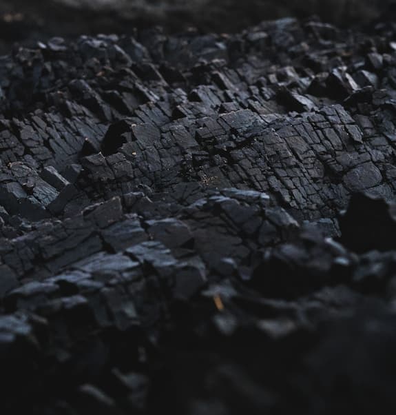 Harvest Season for Garlic