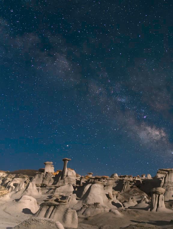 Harvest Season for Garlic