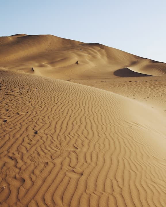 Feast of Saint Joseph