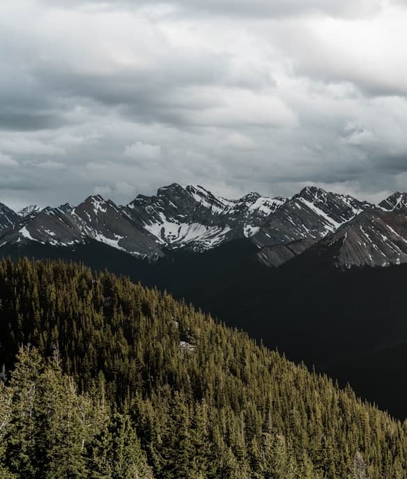 Feast of San Carlos Borromeo