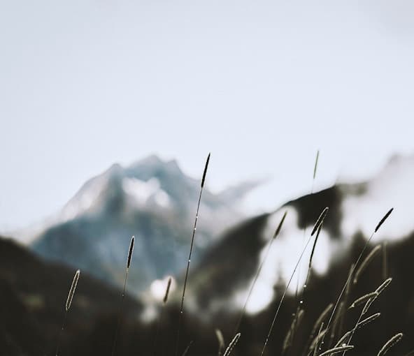 Vakul-Kanayi Festival