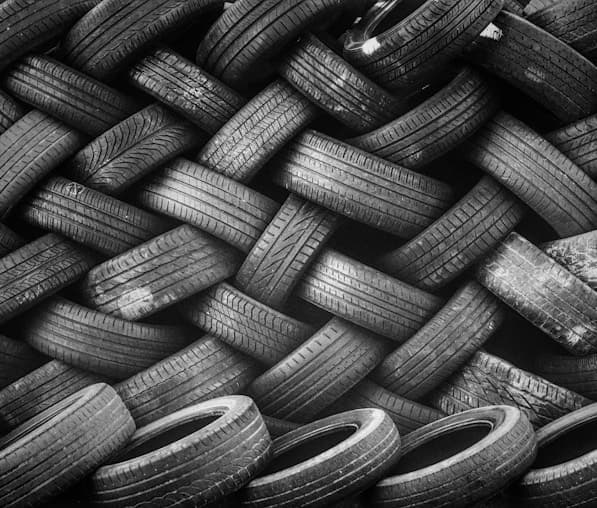 Fishing Season for the Flying Fish