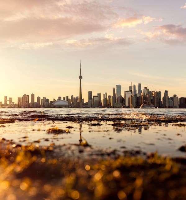 Feast of Our Lady of the Holy Rosary