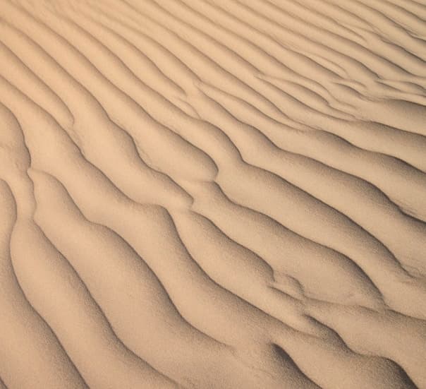 Feast of Our Lady of the Holy Rosary