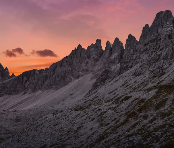 Harvest Season for Garlic