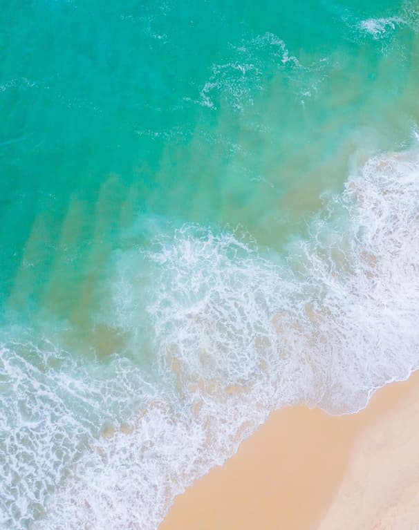 Feast of our Lady of Lourdes