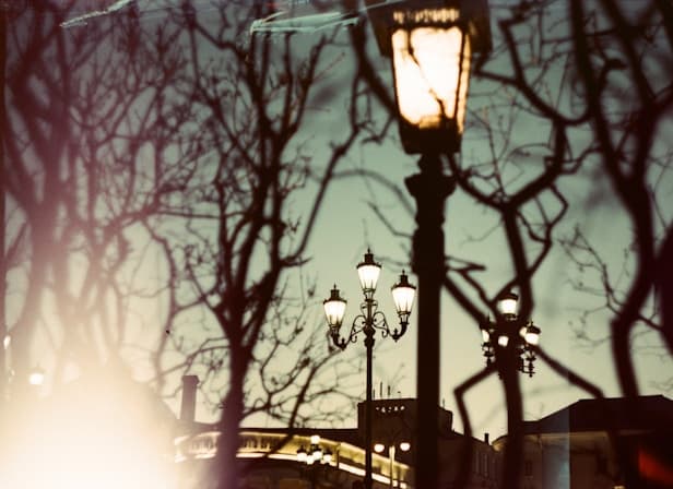 Feast of our Lady of Lourdes