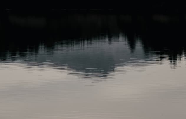 Feast of our Lady of Lourdes