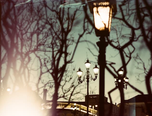 Feast of our Lady of Lourdes