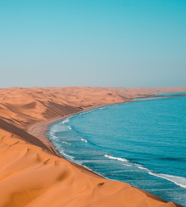 Feast of Saint Joseph