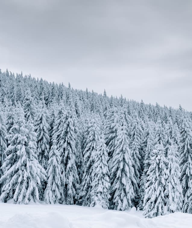 Feast of our Lady of Lourdes