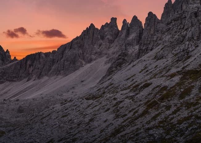 Harvest Season for Garlic