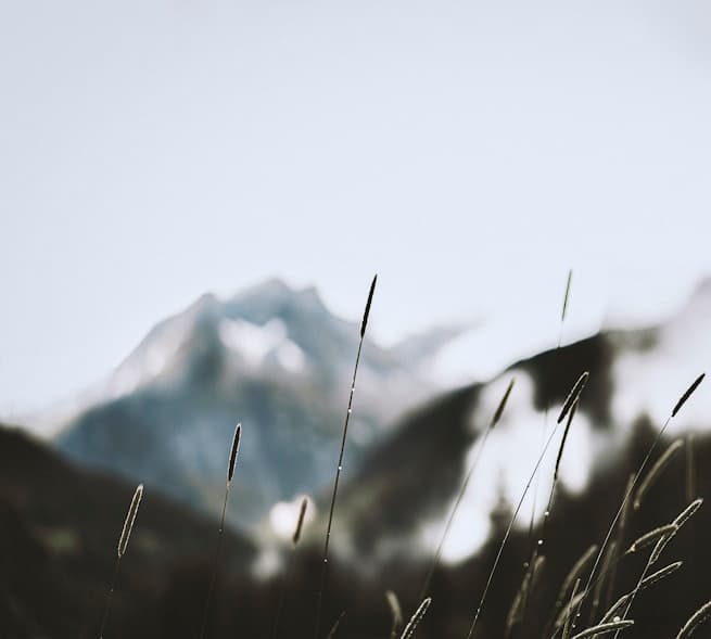 Fishing Season for the Flying Fish