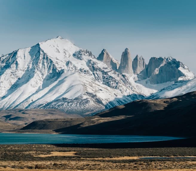 Harvest Season for Garlic