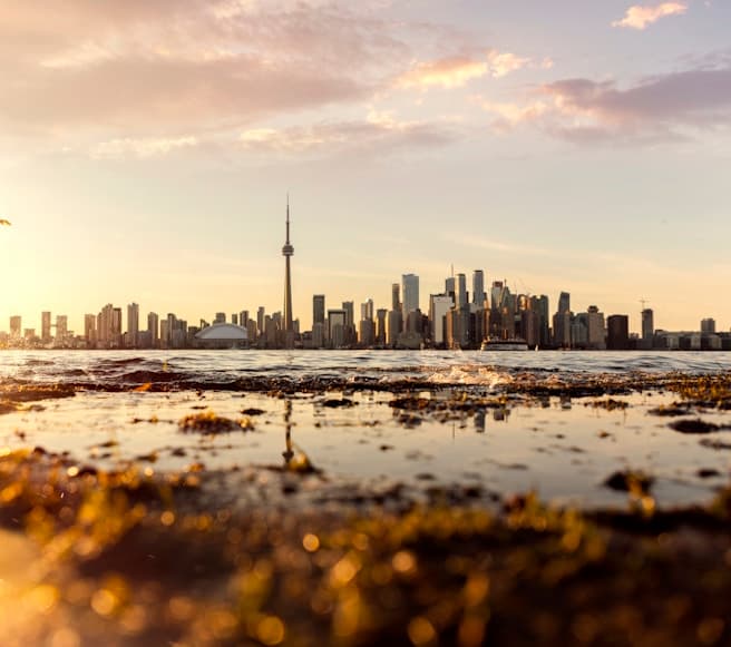 Feast of our Lady of Lourdes
