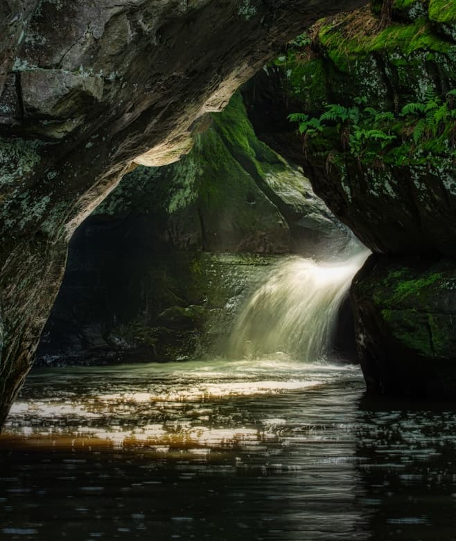 Feast of Saint Joseph