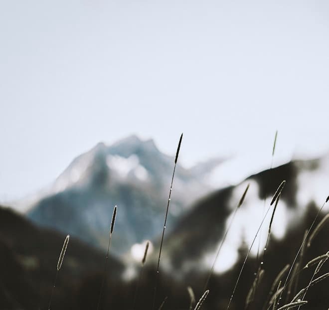 Feast of Sta. Ines de Monte Policiano