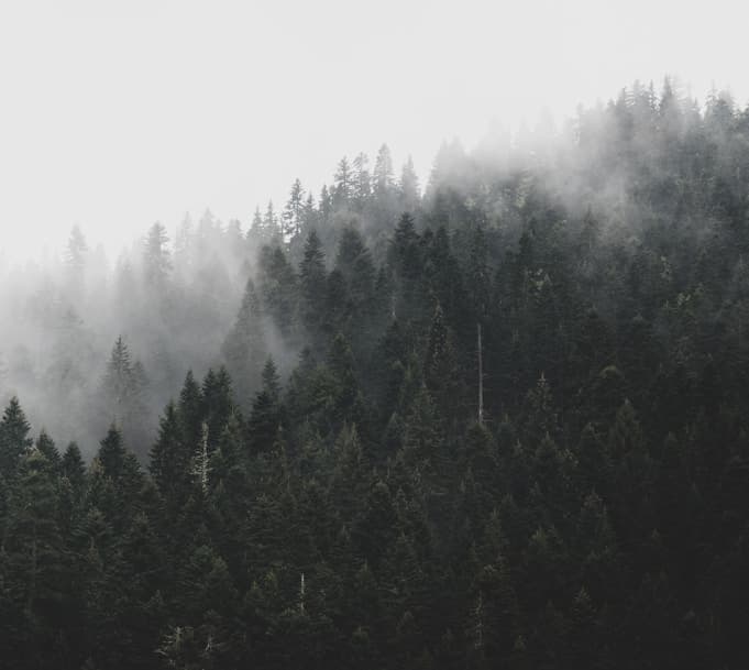 Feast of Saint Joseph