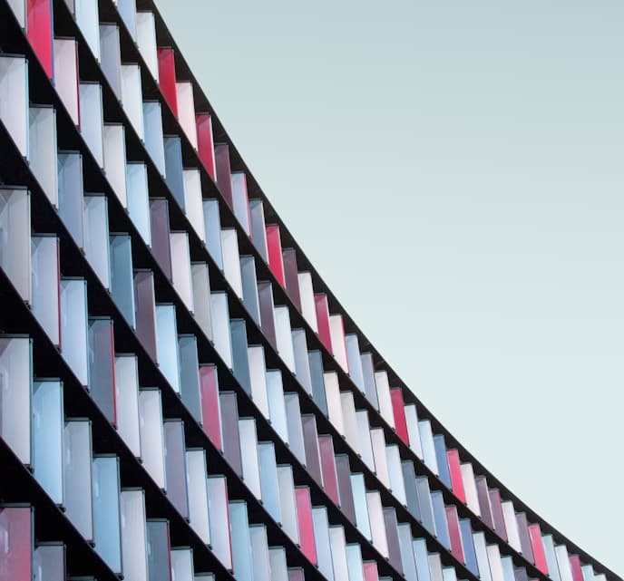 Fishing Season for the Flying Fish