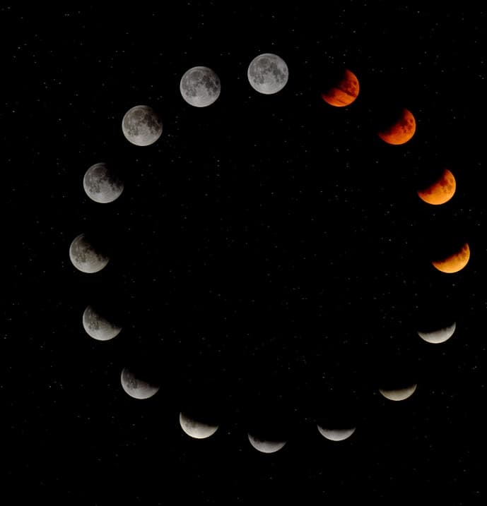 Fishing Season for the Flying Fish