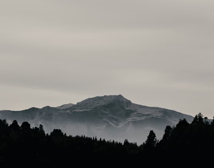 Feast of Saint Joseph