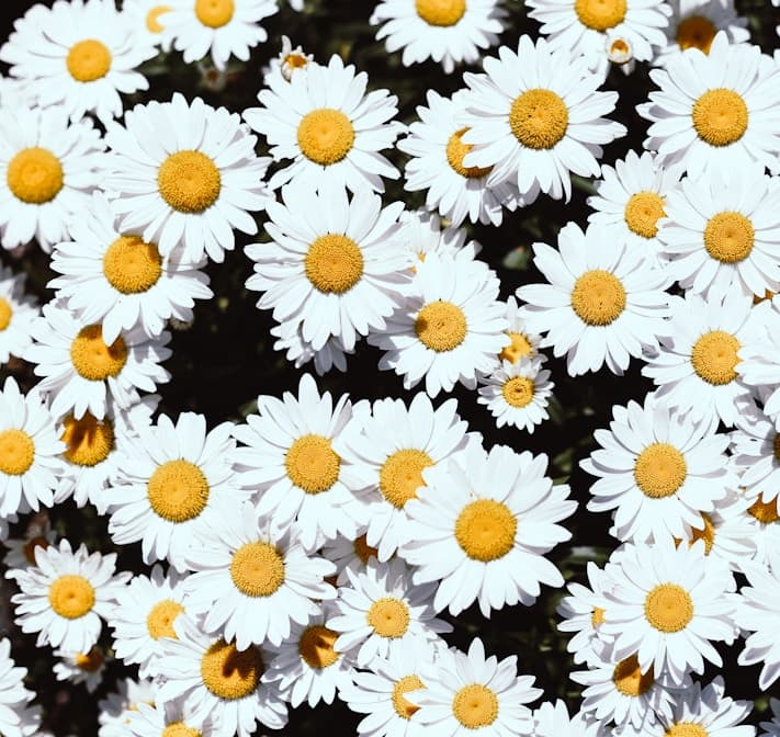 Vakul-Kanayi Festival