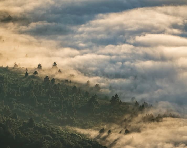 Kapayvanuvanua pre-fishing season ritual