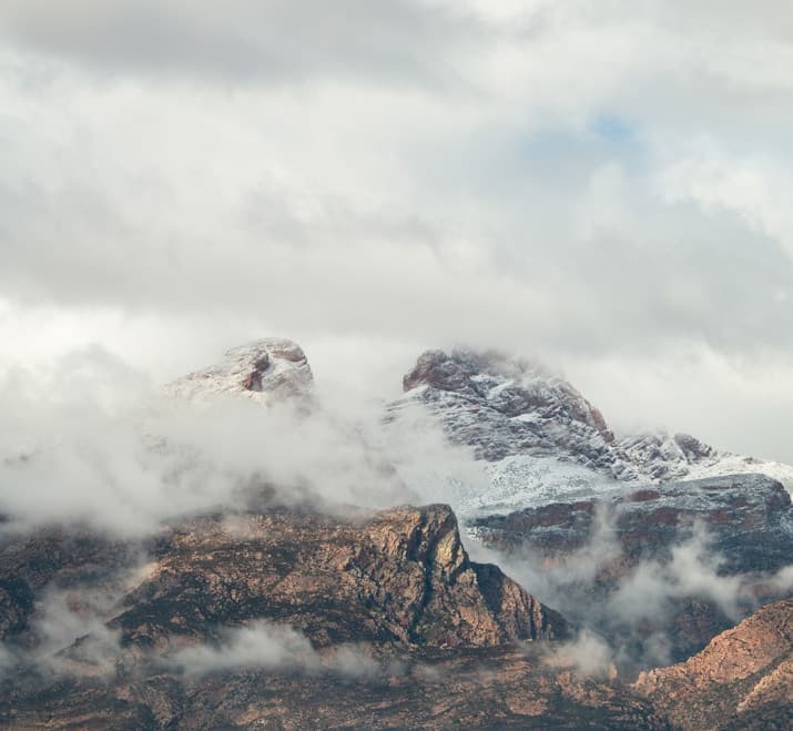 Feast of Sto. Tomas de Aquinas