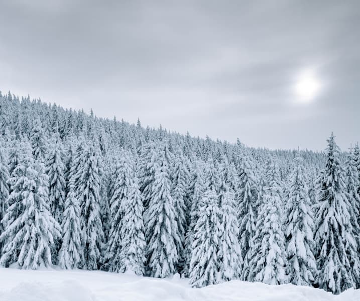 Feast of San Vicente Ferrer