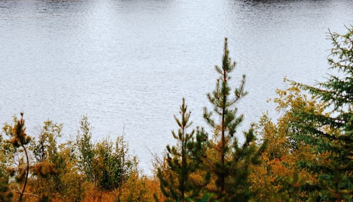 Feast of our Lady of Lourdes